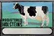 2010Gallery1/Holsteins2After.jpg