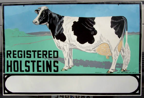 2010Gallery1/Holsteins2After.jpg