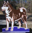 2010Gallery1/HuskyAfter.jpg